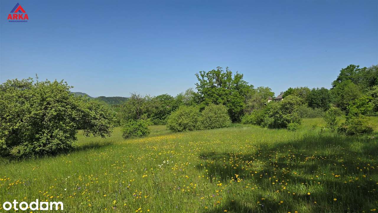Widokowa działka z WZ – południowy stok, panorama - Pełny obrazek: 4/10
