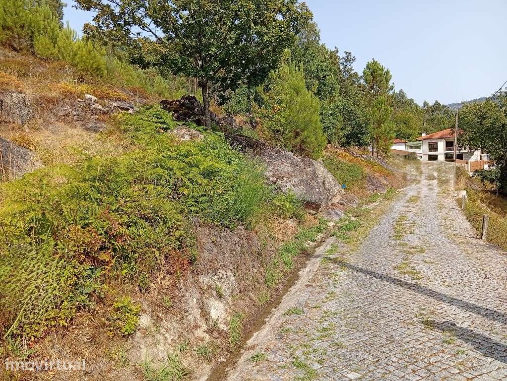 Terreno com viabilidade construtiva - Bouro Santa Maria - Grande imagem: 4/10