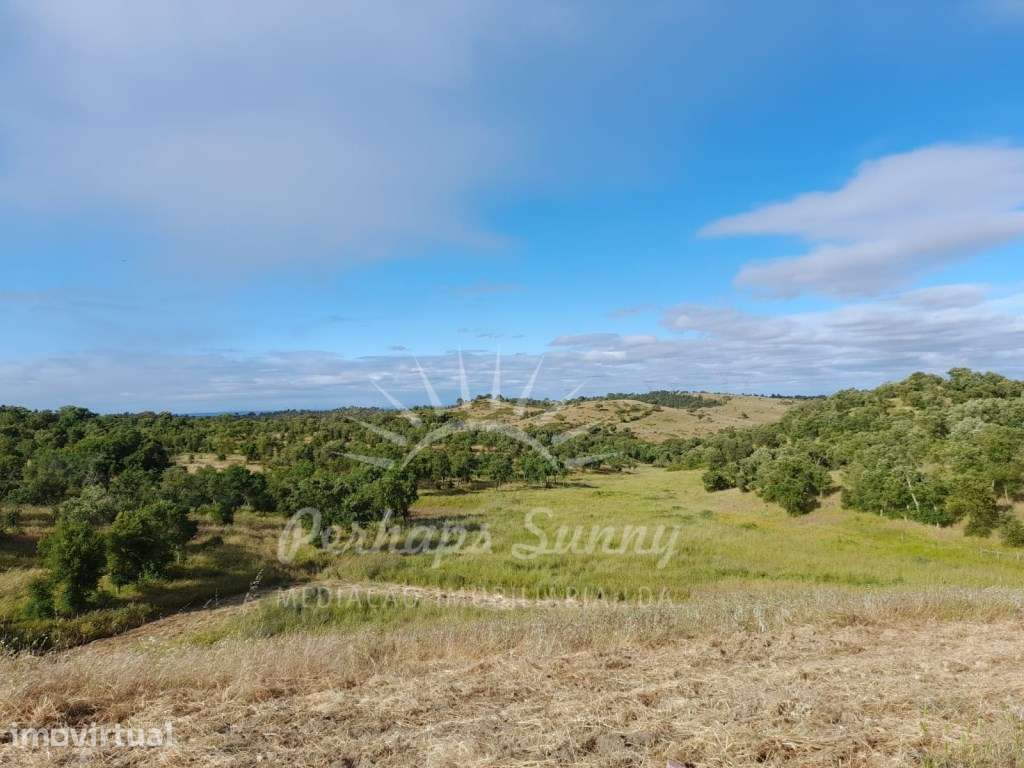 Herdade com Habitação - Grândola - Grande imagem: 2/39
