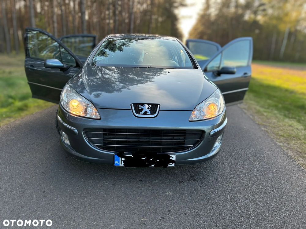 Peugeot 407 - 13