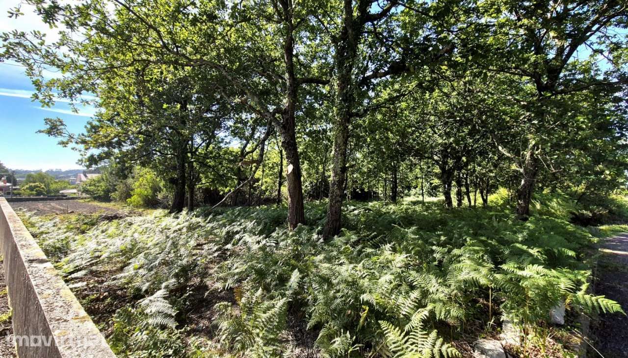 Venda de terreno para construção c/ 6975m², Vila Fria, Viana do Cas - Grande imagem: 5/22
