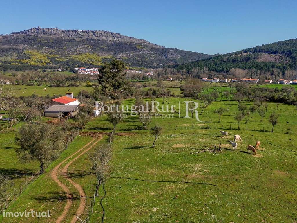 Quinta de 9 hectares em Marvão - Grande imagem: 3/60