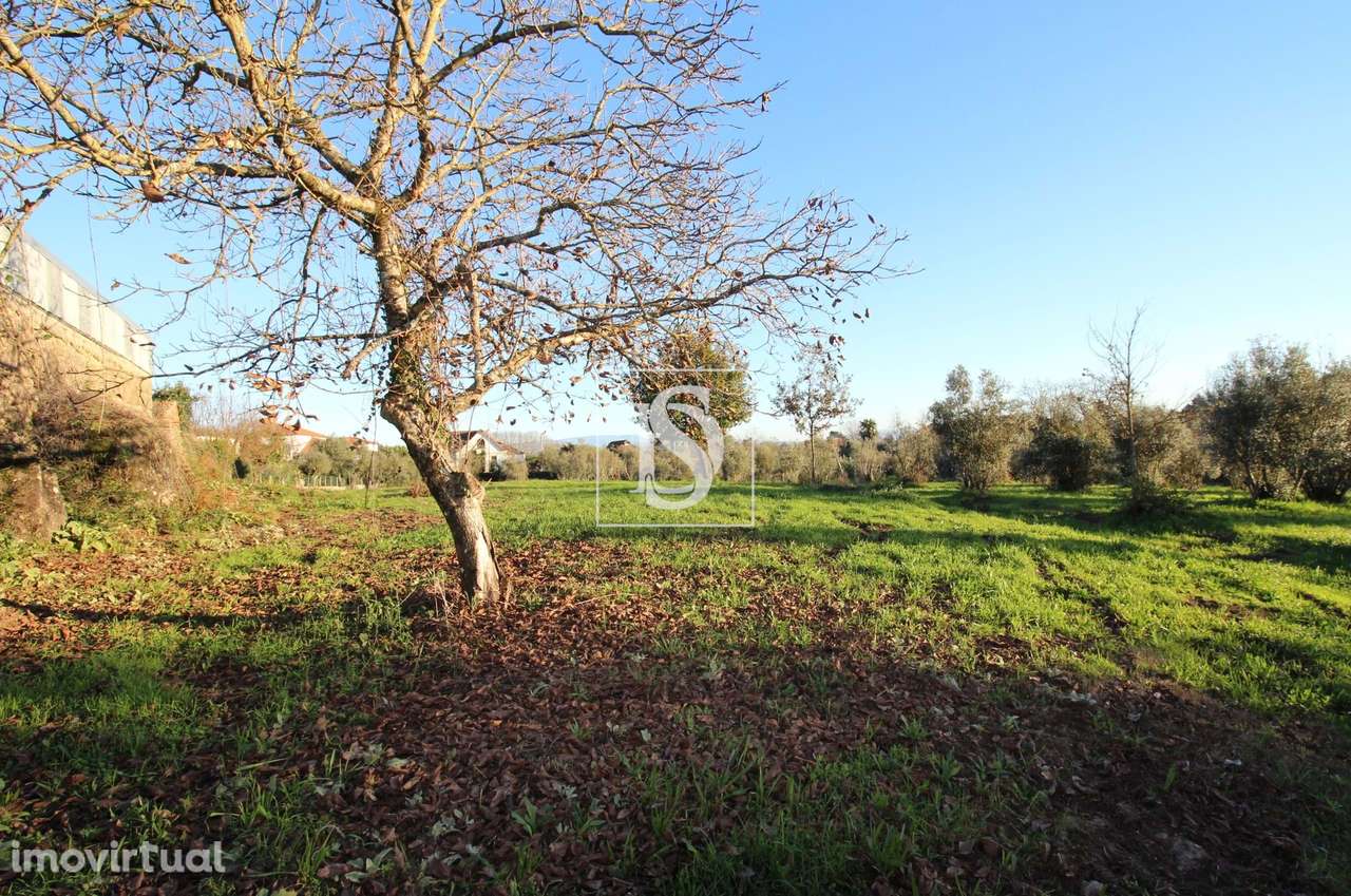 Terreno de 12.370m2 com viabilidade de construção - Grande imagem: 5/14