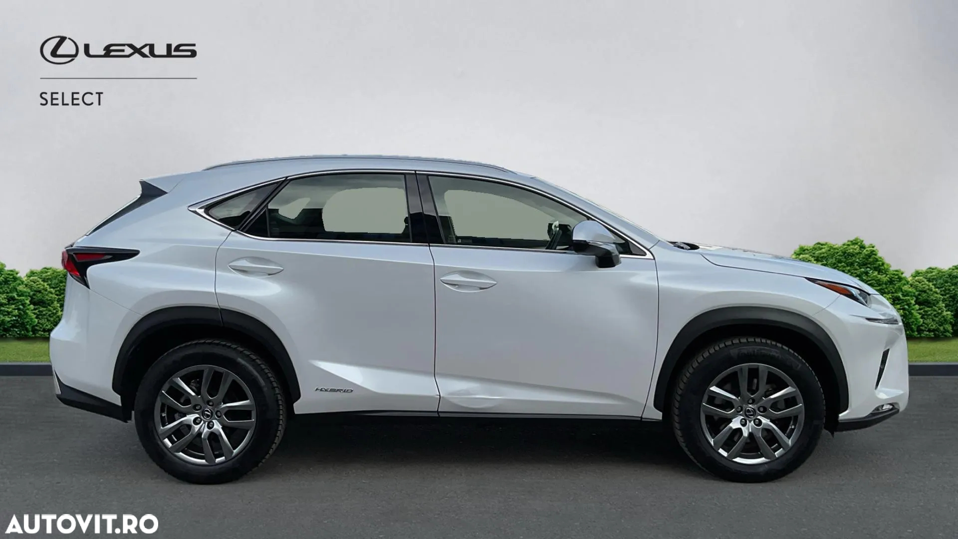 Lexus Seria NX 300h AWD Executive Plus - 18