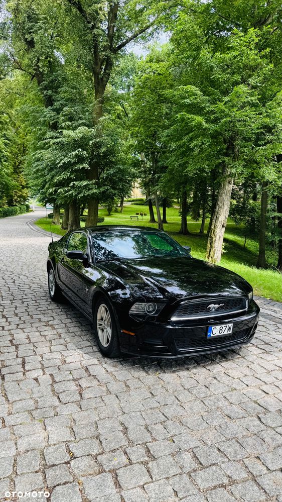 Ford Mustang 3.7 V6 - 2