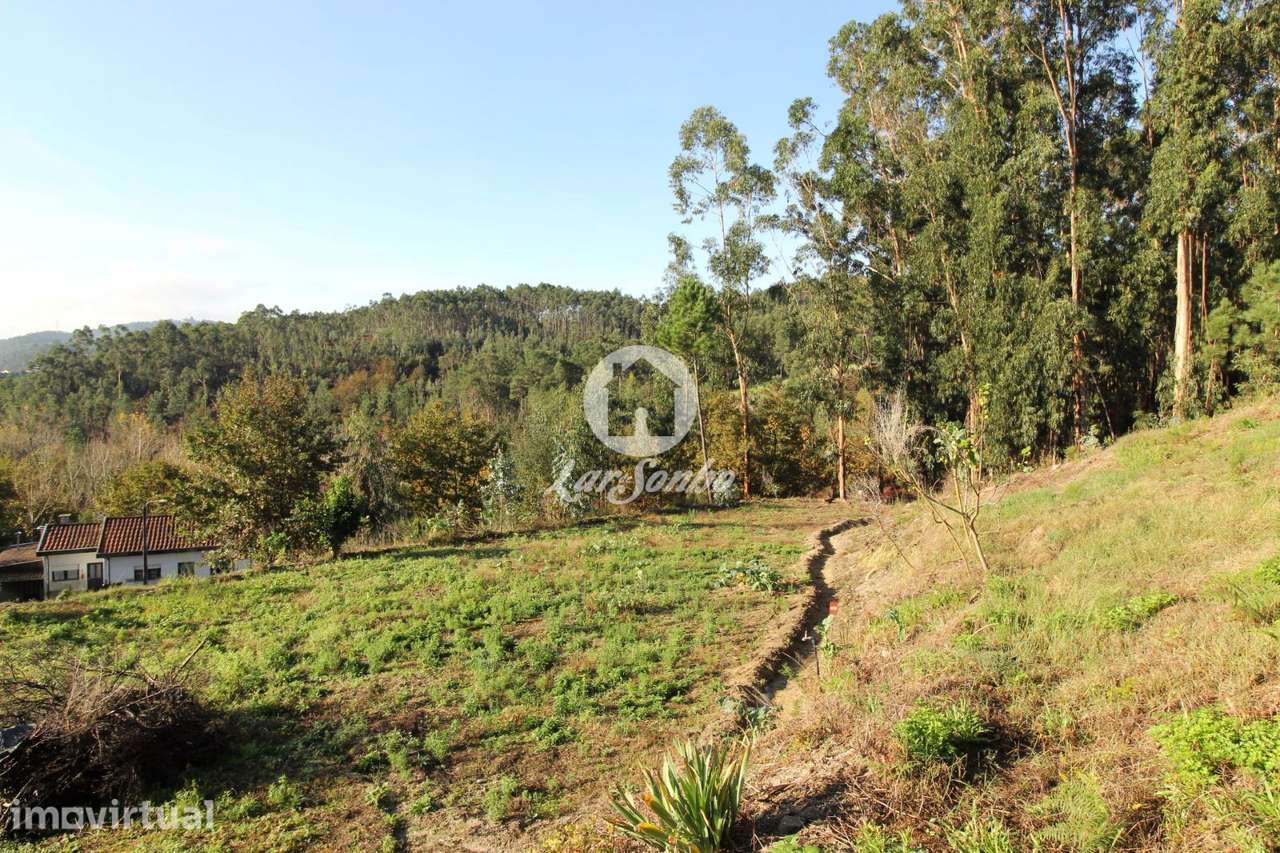 Excelente Terreno para Construção  1.875 m² - Grande imagem: 3/6