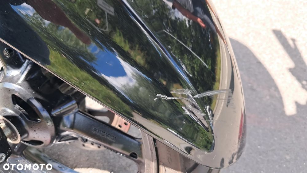 Suzuki GW 250 - 10