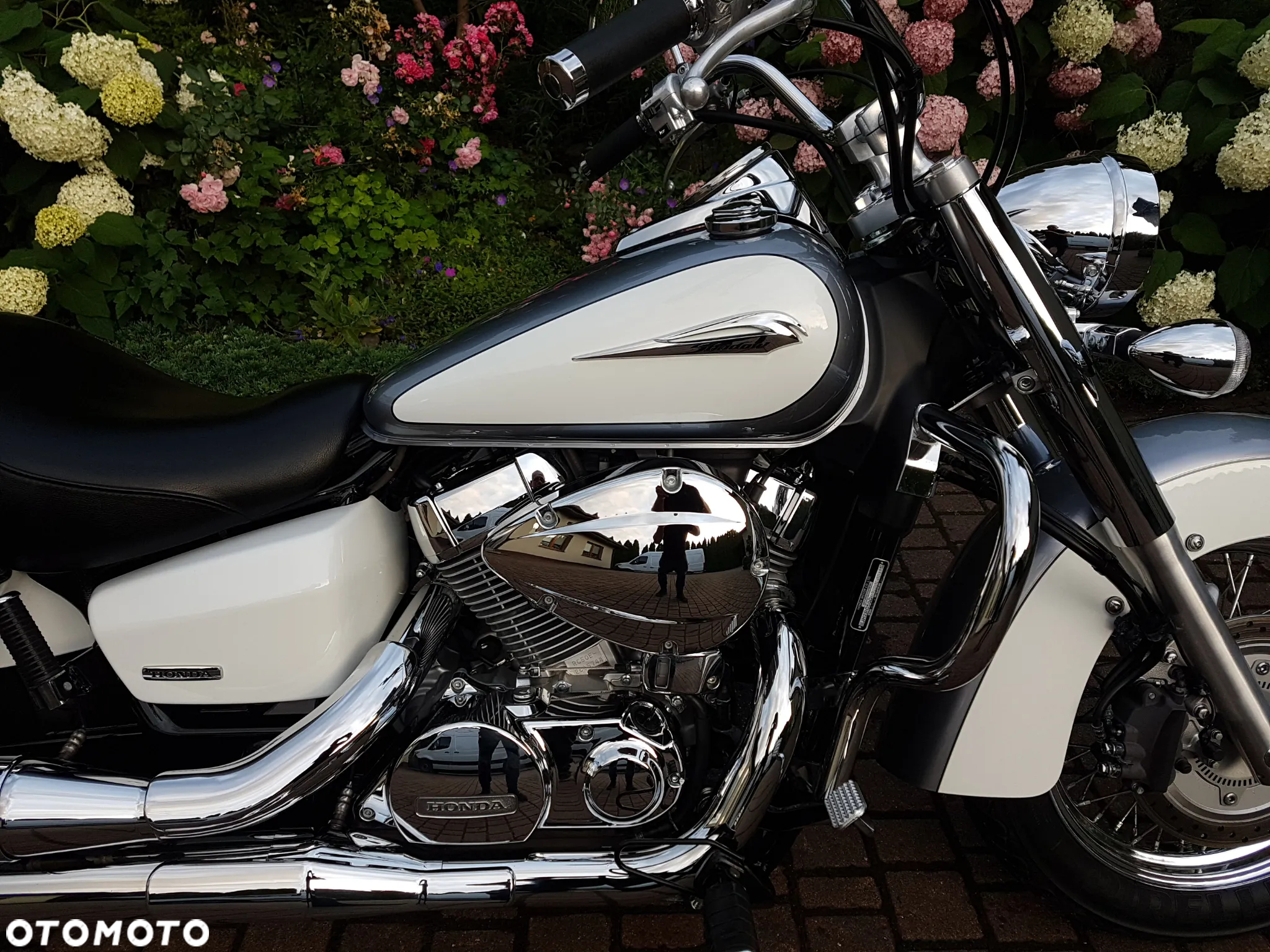 Honda Shadow - 3