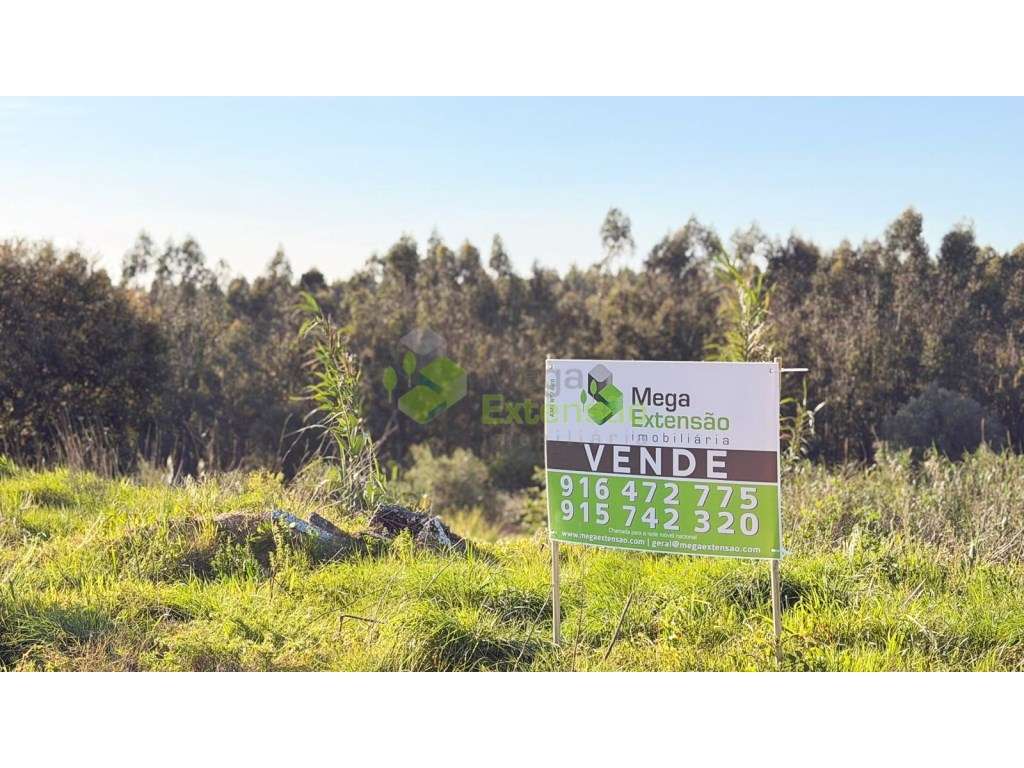 Terreno Urbano para Construção de Moradia - Cadaval - Grande imagem: 4/16