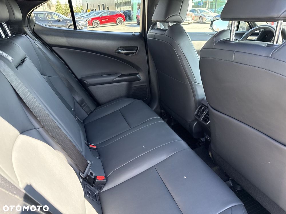 Lexus UX 250h GPF F Sport Design+ 2WD - 10