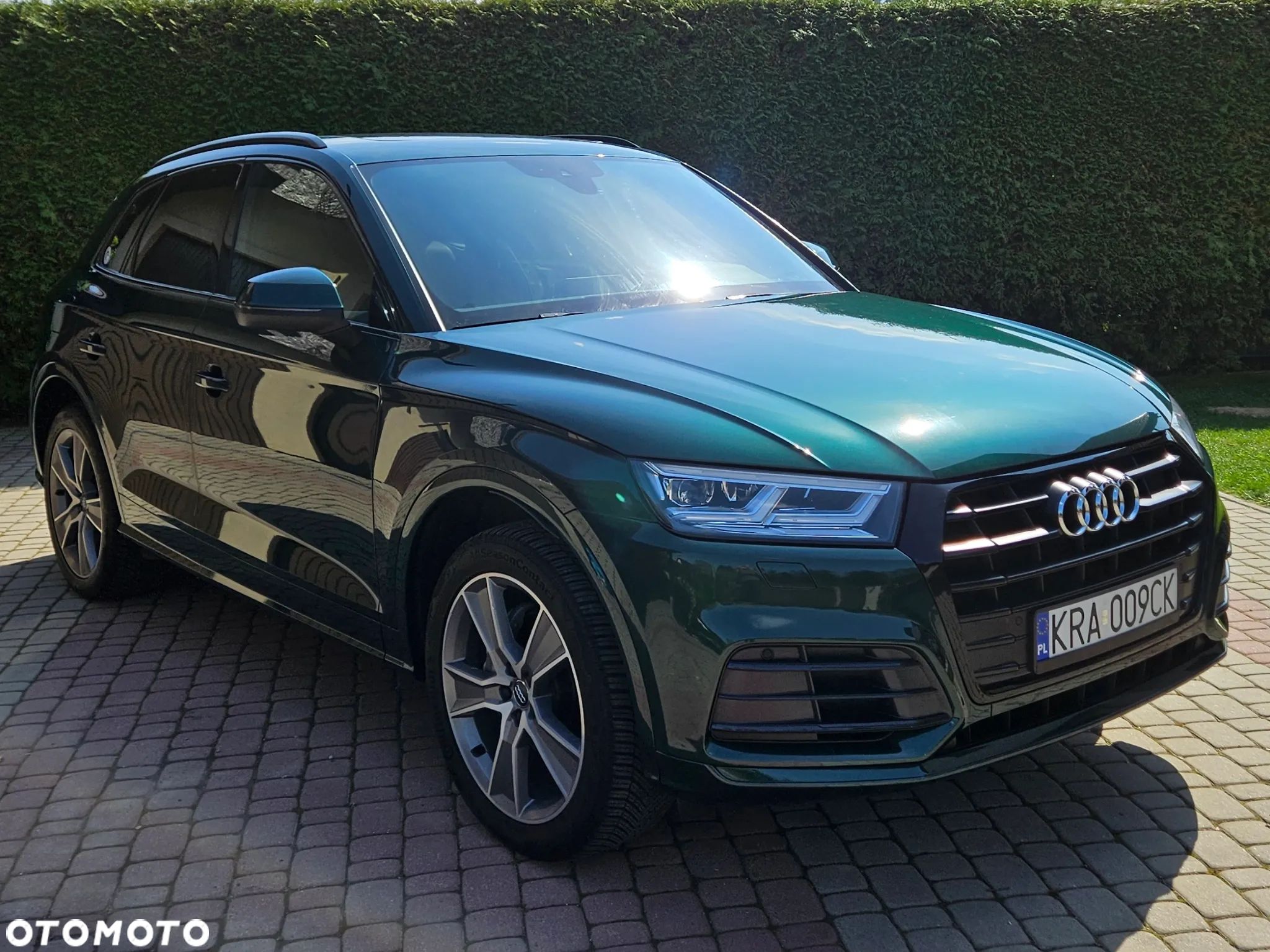 Audi Q5 - 1