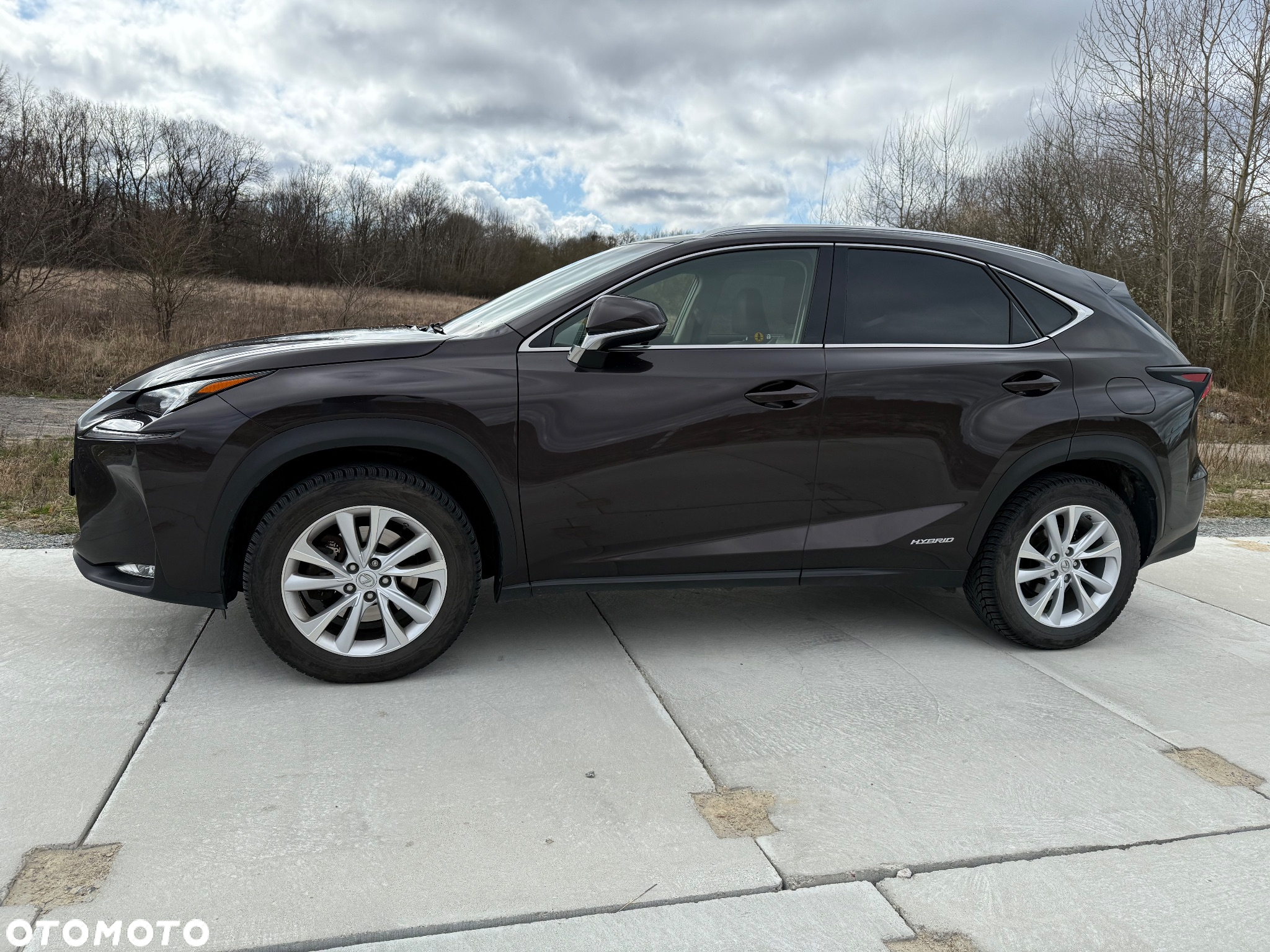 Lexus NX - 6