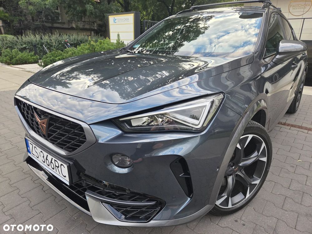 Cupra Formentor 2.0 TSI 4Drive DSG - 18