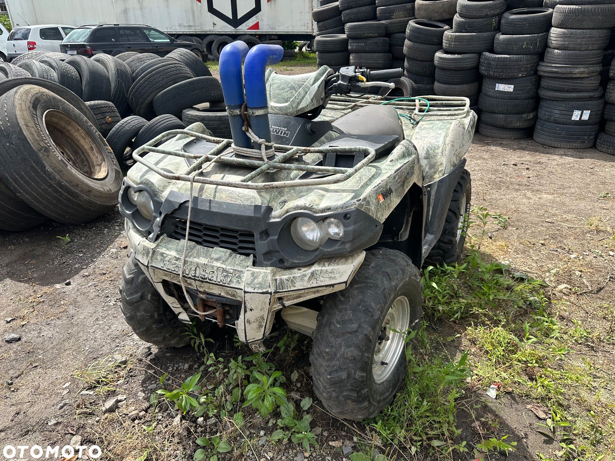 Kawasaki Brute Force