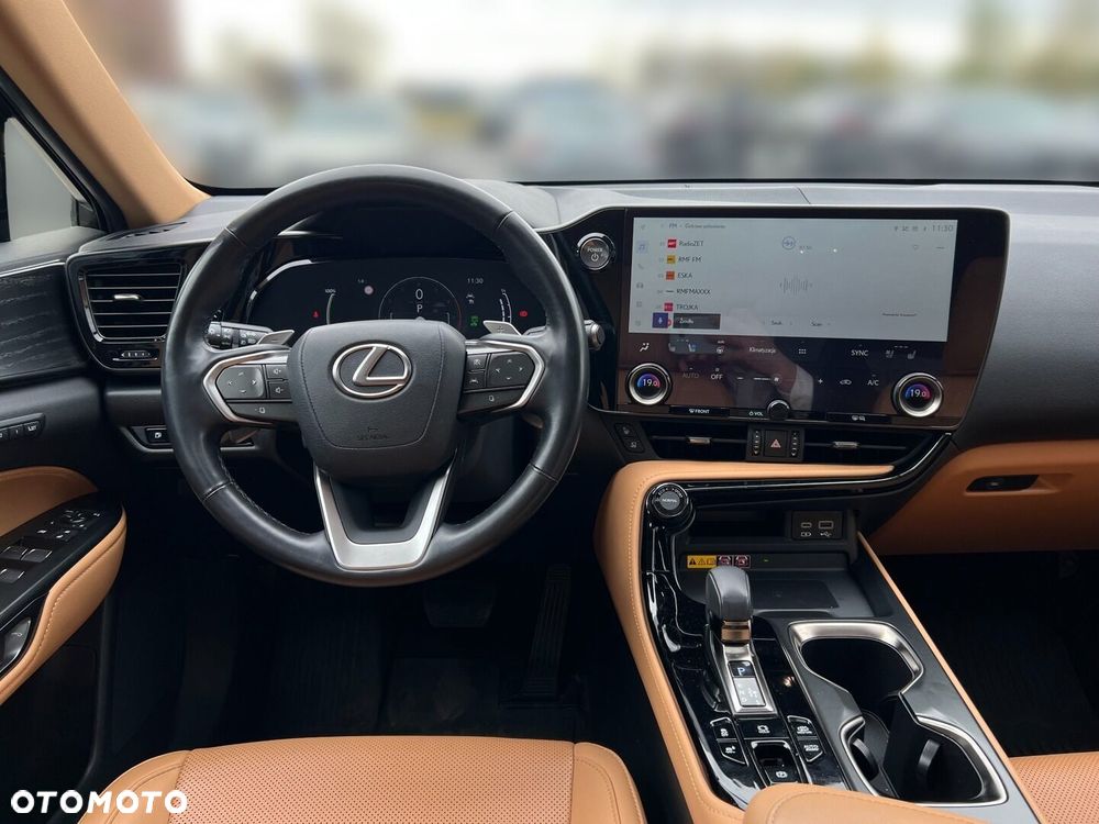 Lexus NX - 17
