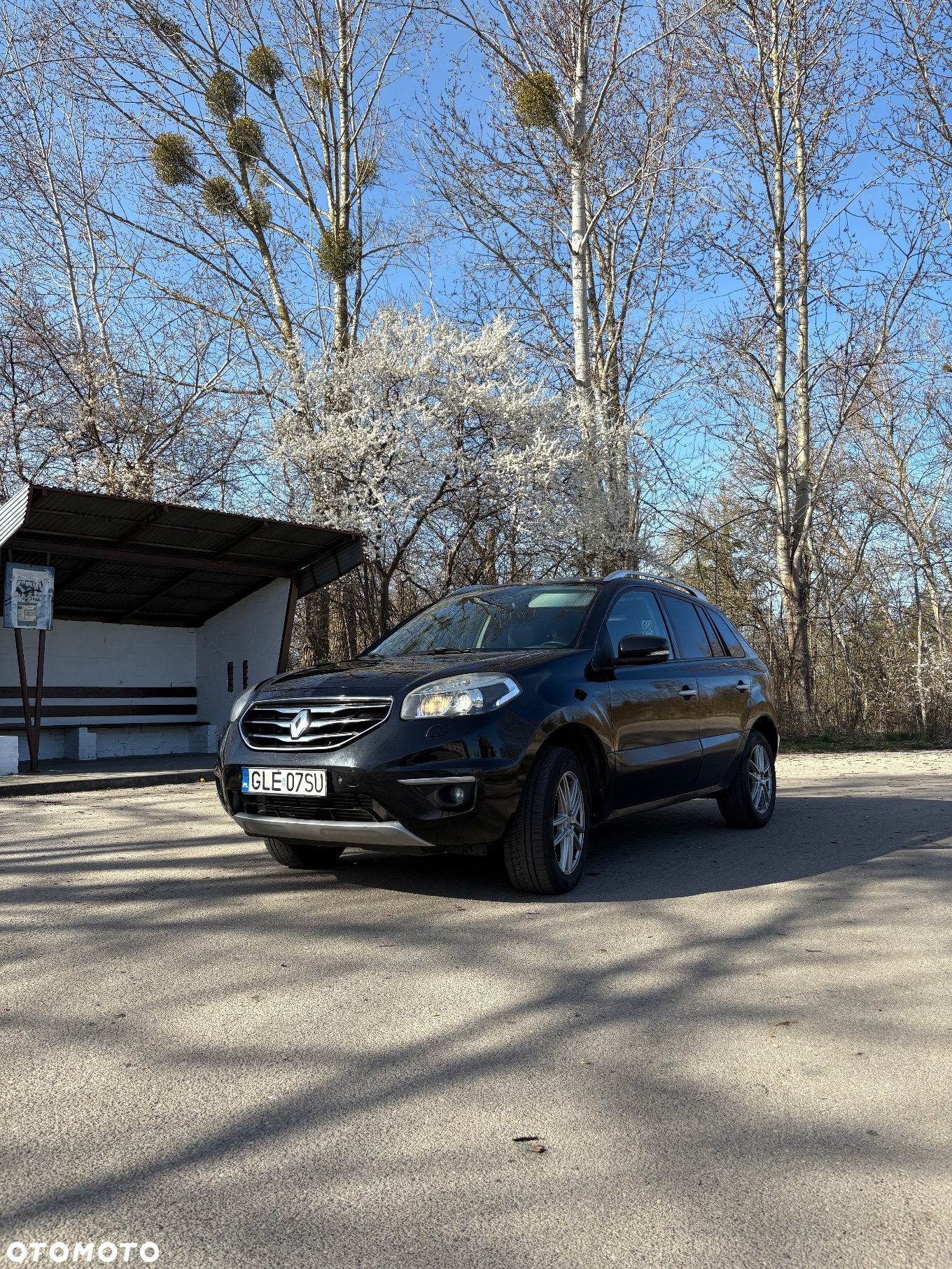 Renault Koleos 2.0 dCi 4x4 Privilege - 12