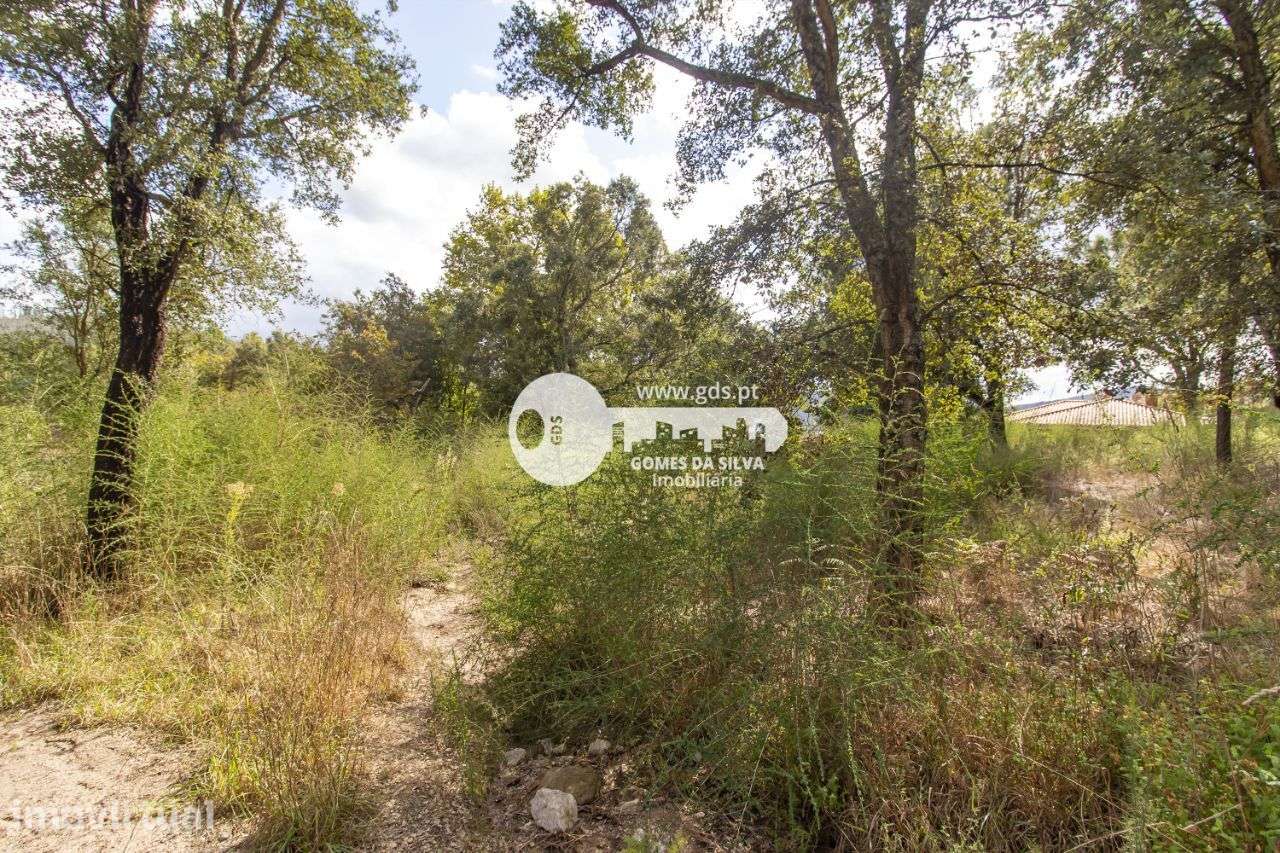 Lote de 7073m2 c/ viabilidade de construção na Morreira - Grande imagem: 5/19