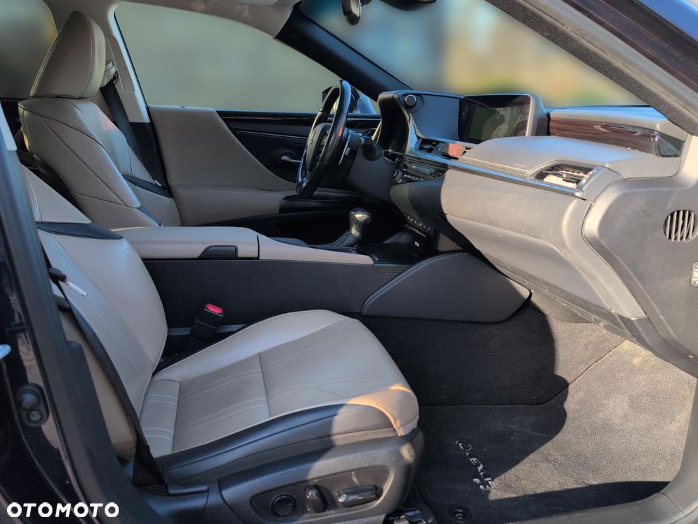 Lexus ES 300h Omotenashi - 9
