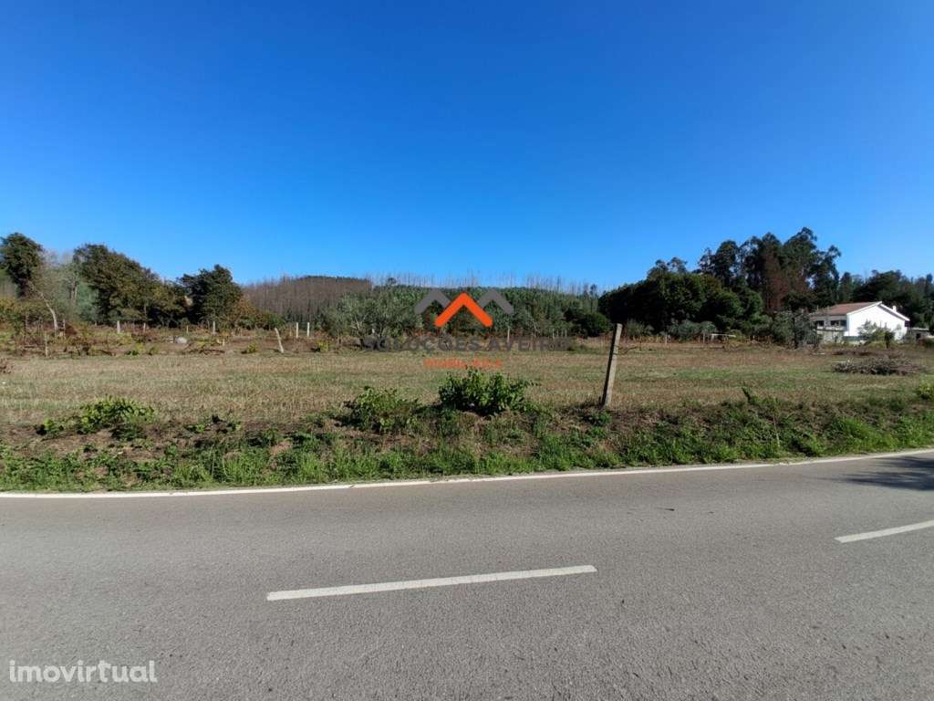 Moradia T3 Isolada e Térrea em Macinhata do Vouga - Grande imagem: 5/13