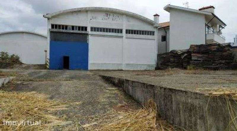 Armazém Industrial em Santa Maria de Lamas, Santa Maria da Feira - Grande imagem: 3/12