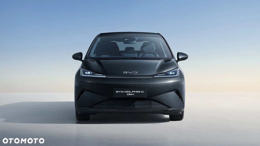 BYD Inny - 8