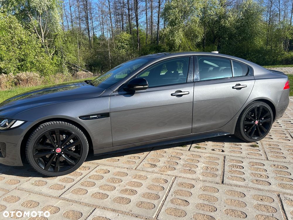 Jaguar XE - 15