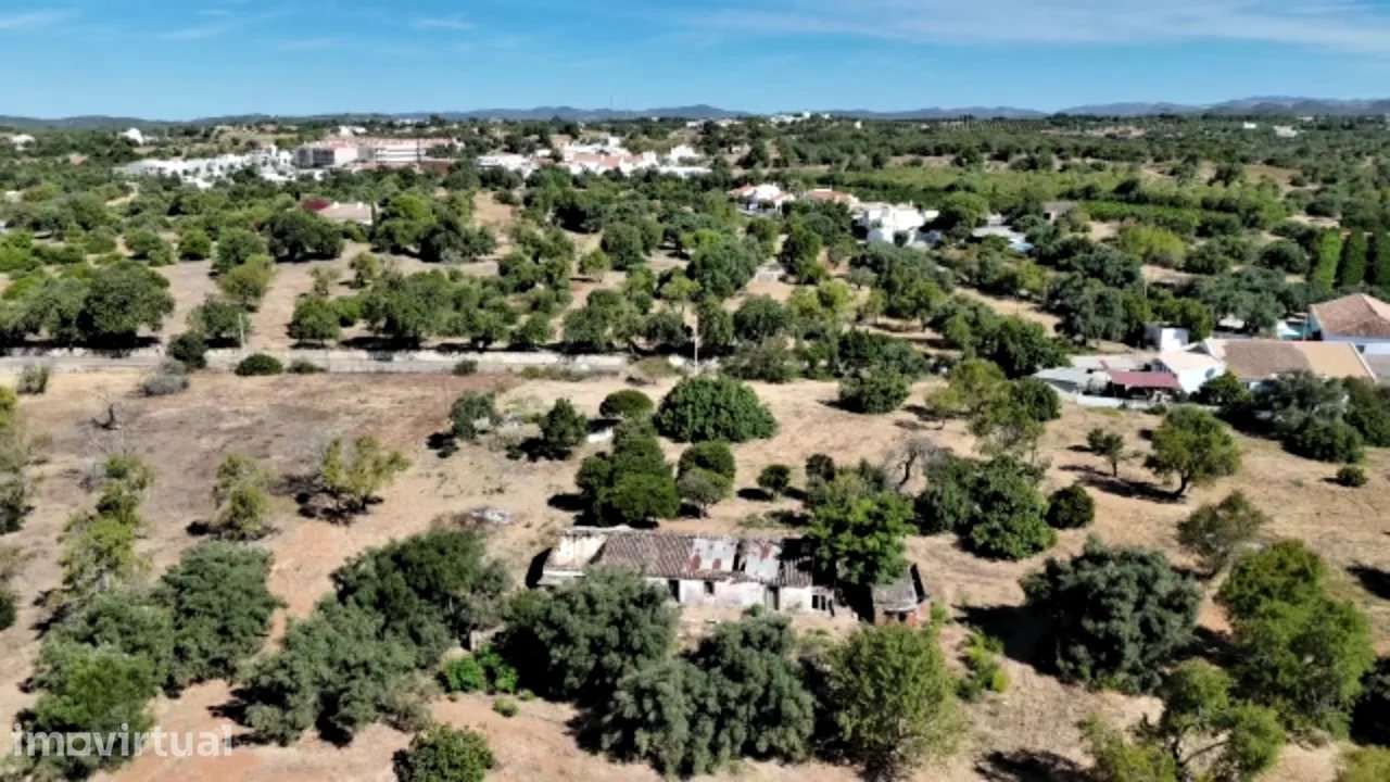 Quinta tradicional em Santo Estêvão, Tavira - Grande imagem: 4/54