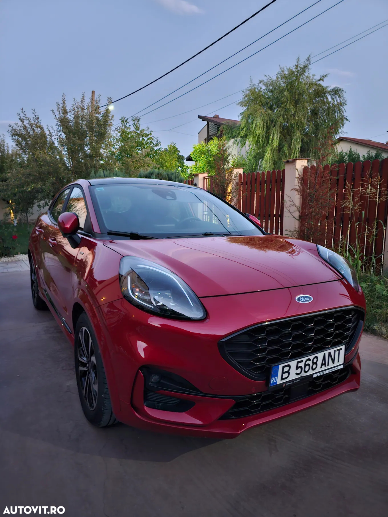 Ford Puma - 32