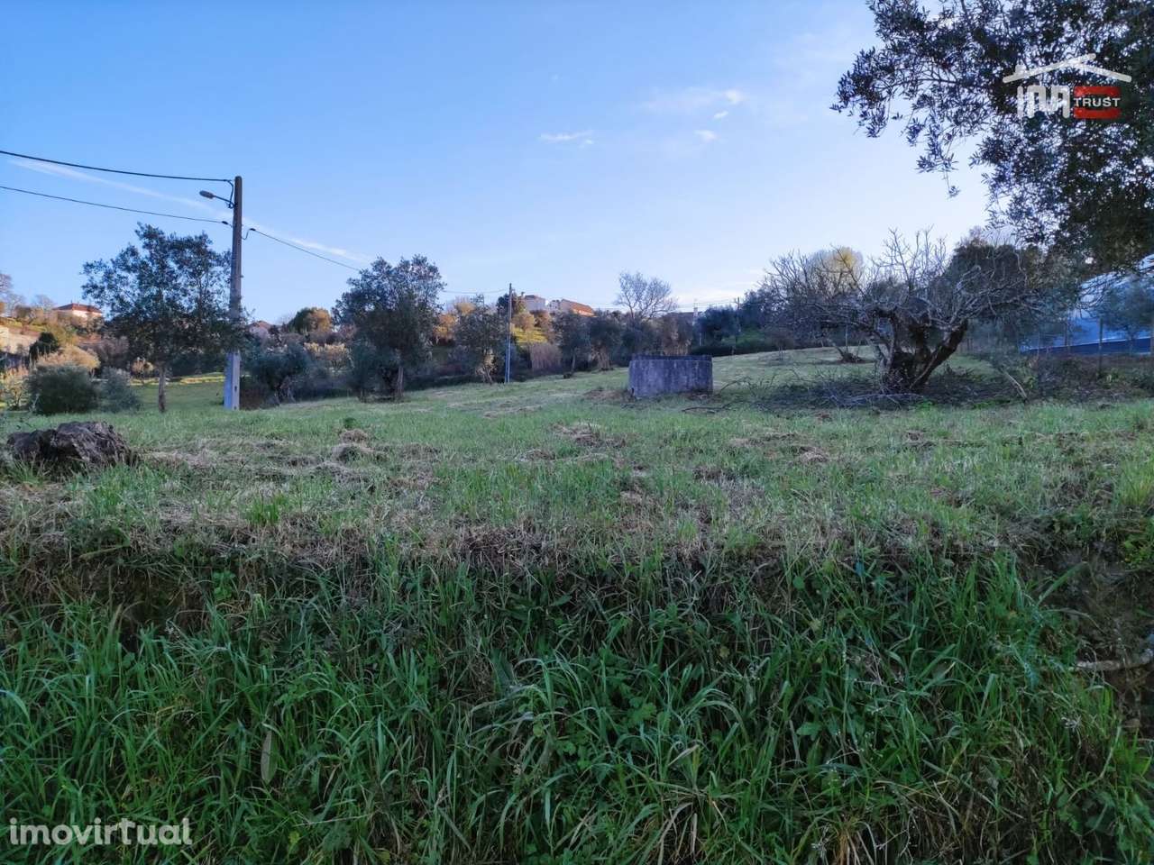 Terreno rústico com olival, poço e possibilidade de instalar Estufa... - Grande imagem: 5/31