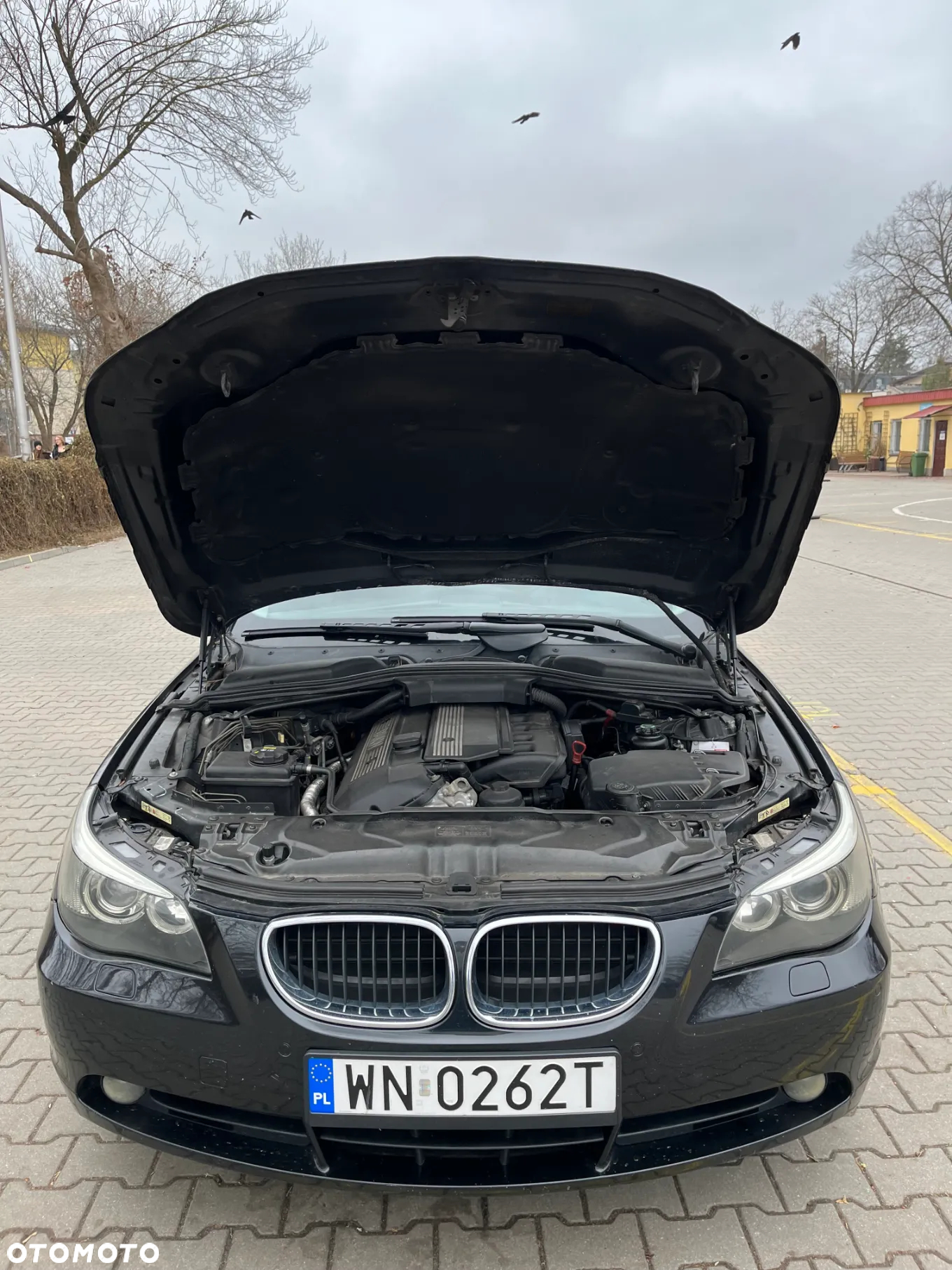 BMW Seria 5 530i - 12
