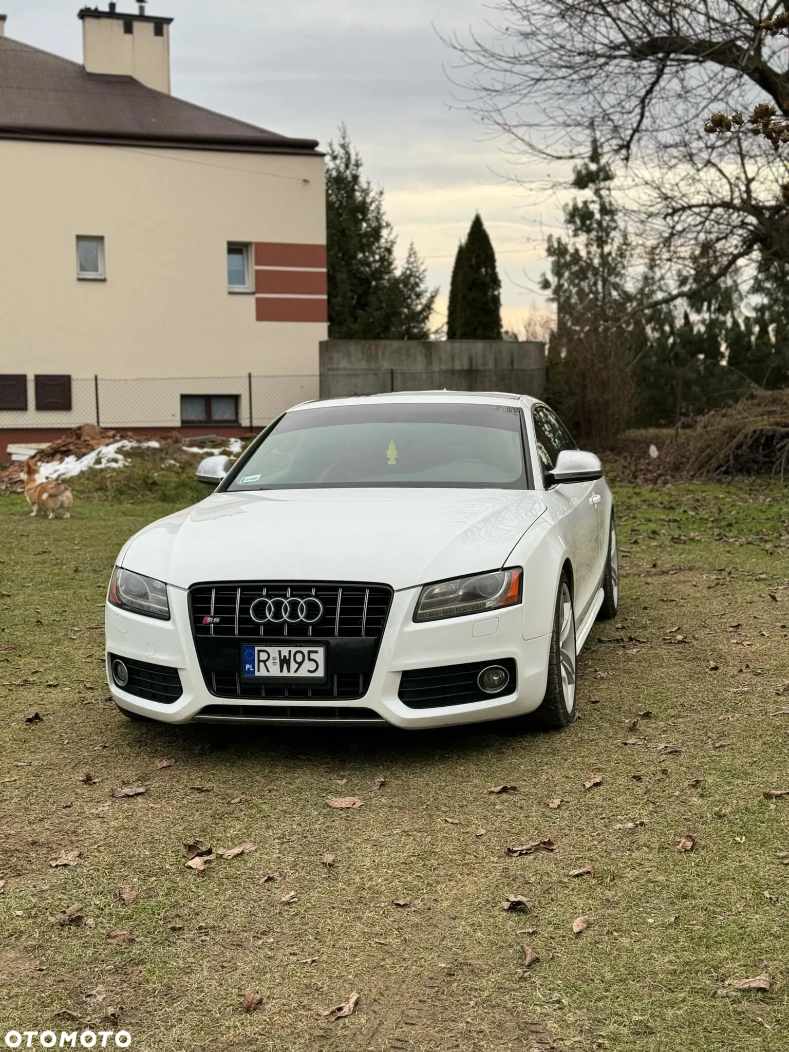 Audi S5 4.2 Quattro - 5