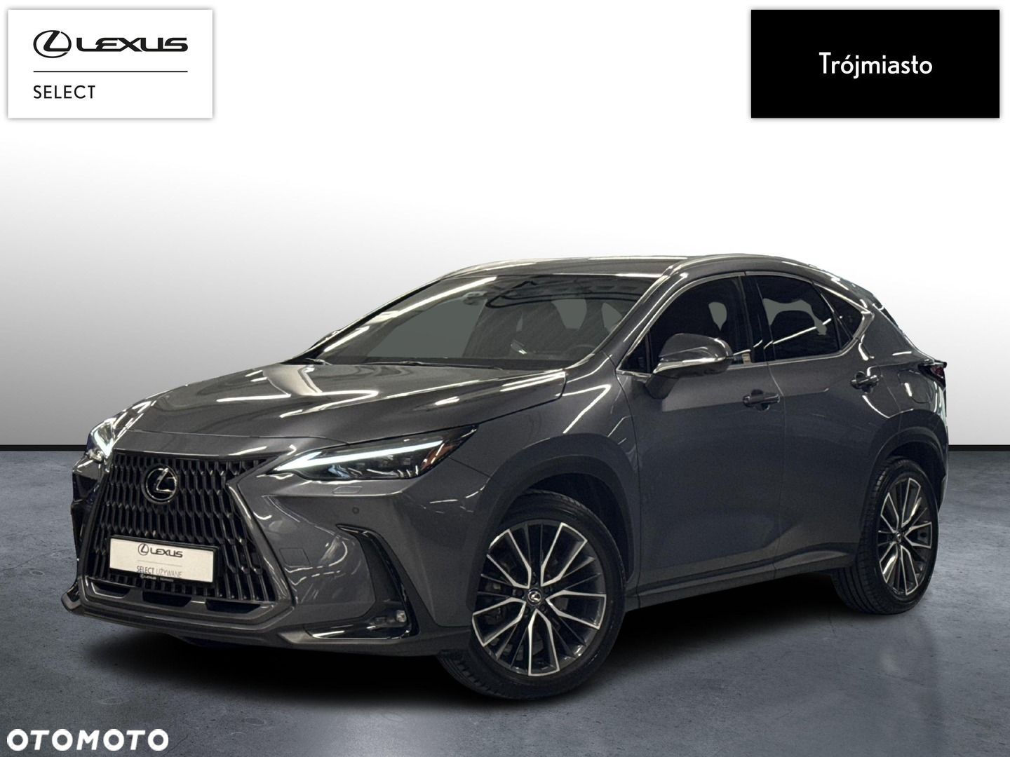 Lexus NX - 1