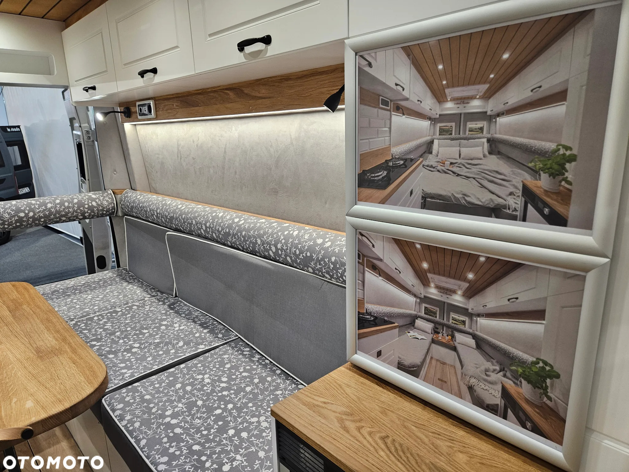 Affinity Freedo 599 - 24