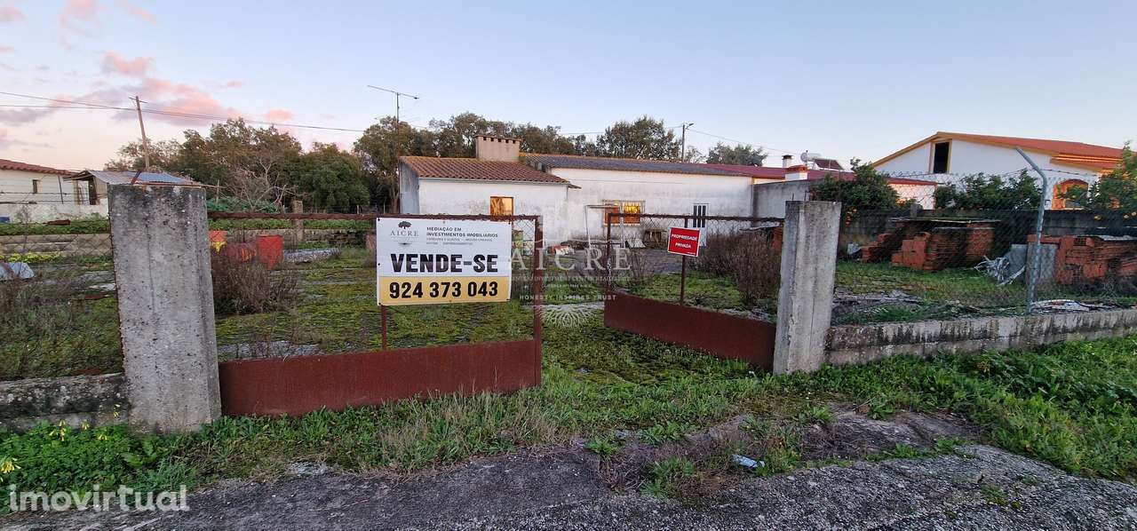 Foros do Arrão - Grande imagem: 2/9