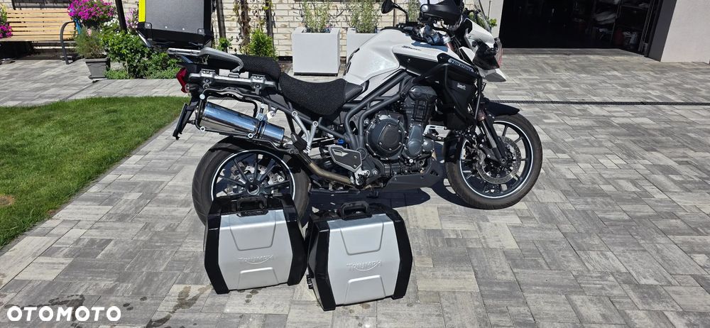 Triumph Tiger - 20