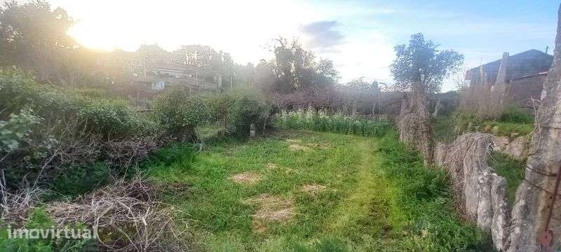 Arrendo terreno agrícola - Grande imagem: 4/4