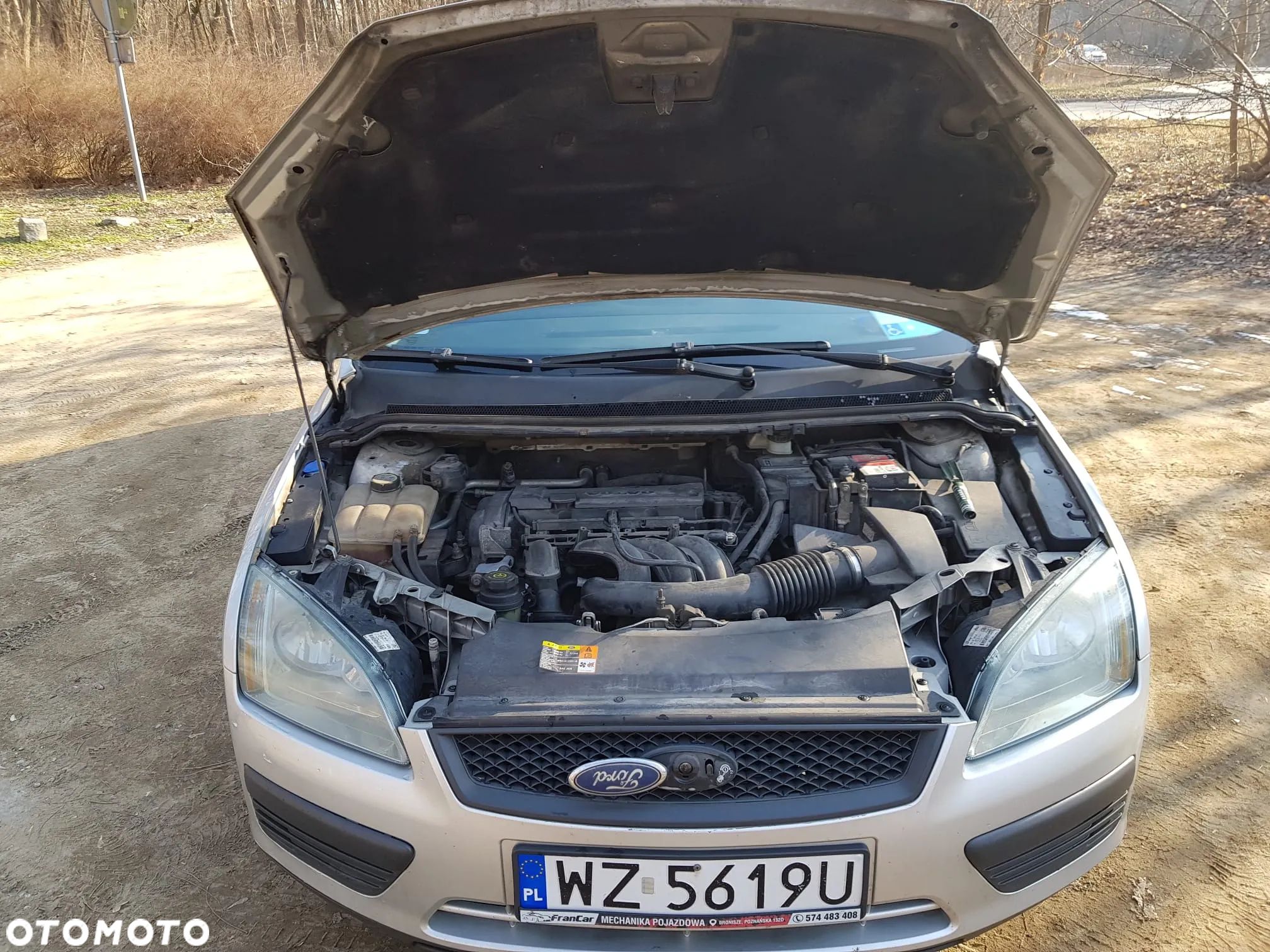 Ford Focus - 1