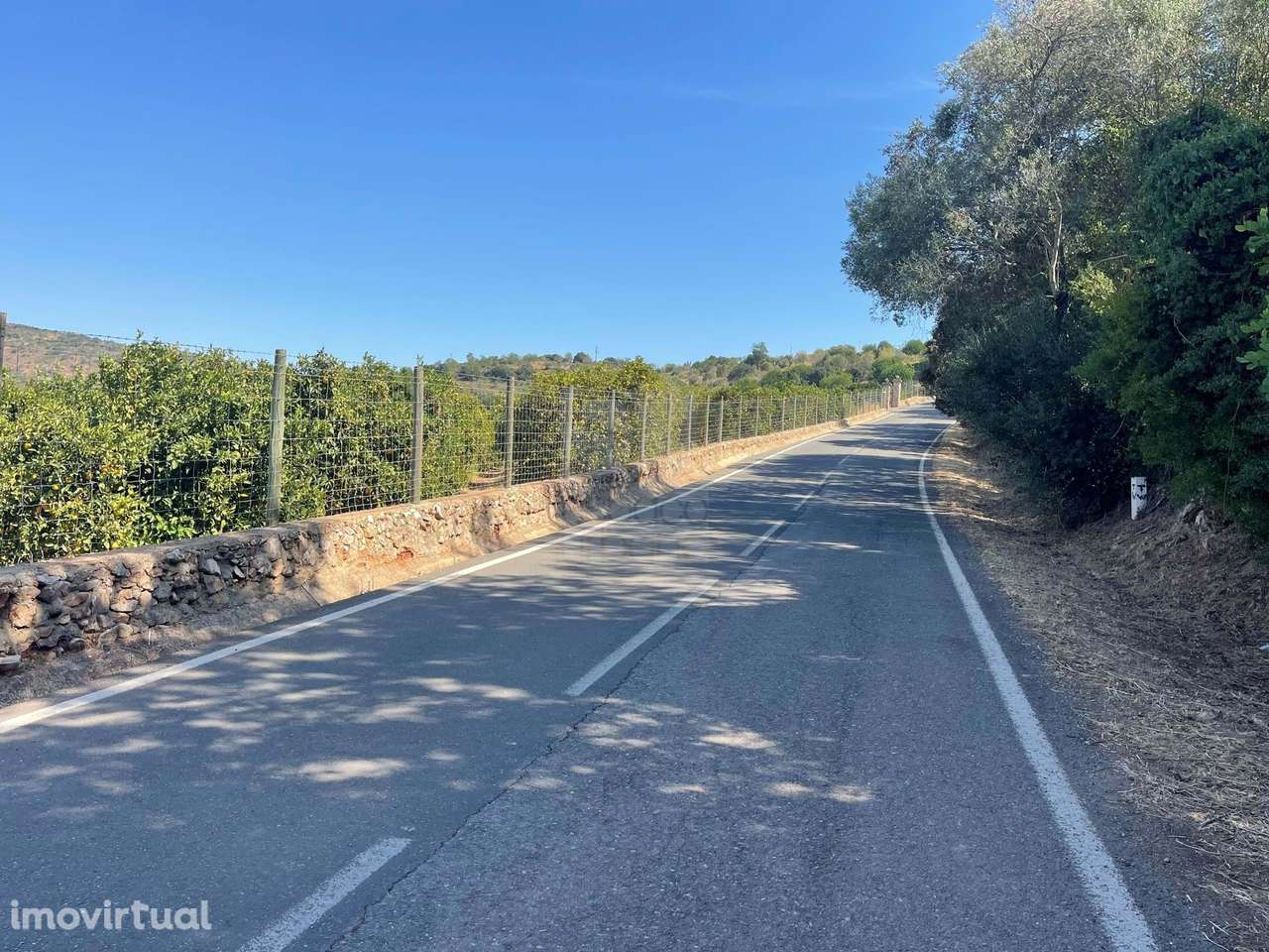 Oportunidade no Algarve Interior–Terreno Rústico-Alte - Grande imagem: 2/4