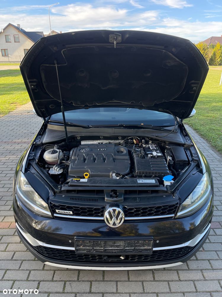 Volkswagen Golf - 17