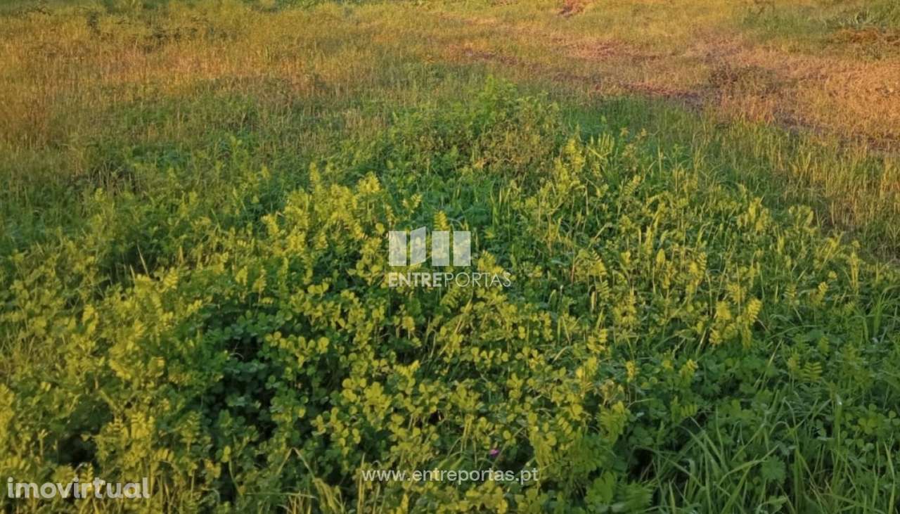 Venda de Lote com 350 m2, Mosteiró, Vila do Conde - Grande imagem: 5/11