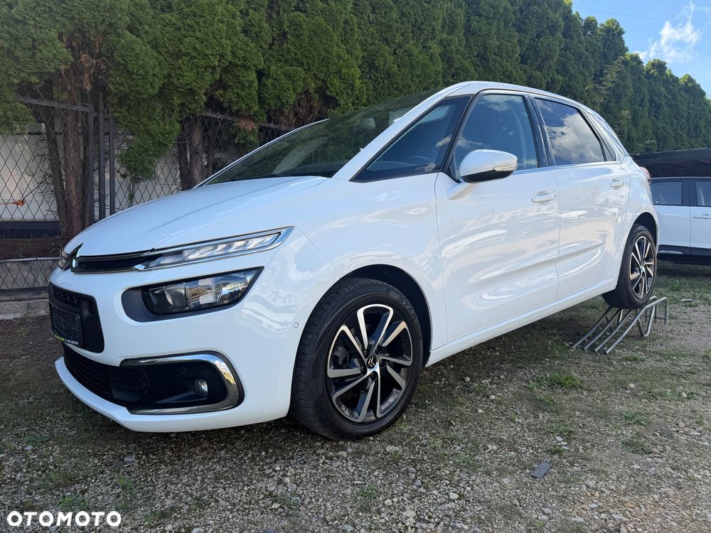 Citroën C4 SpaceTourer 1.5 BlueHDi Rip Curl S&S - 13