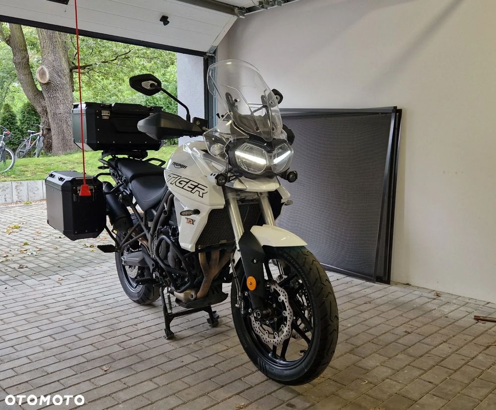 Triumph Tiger - 1