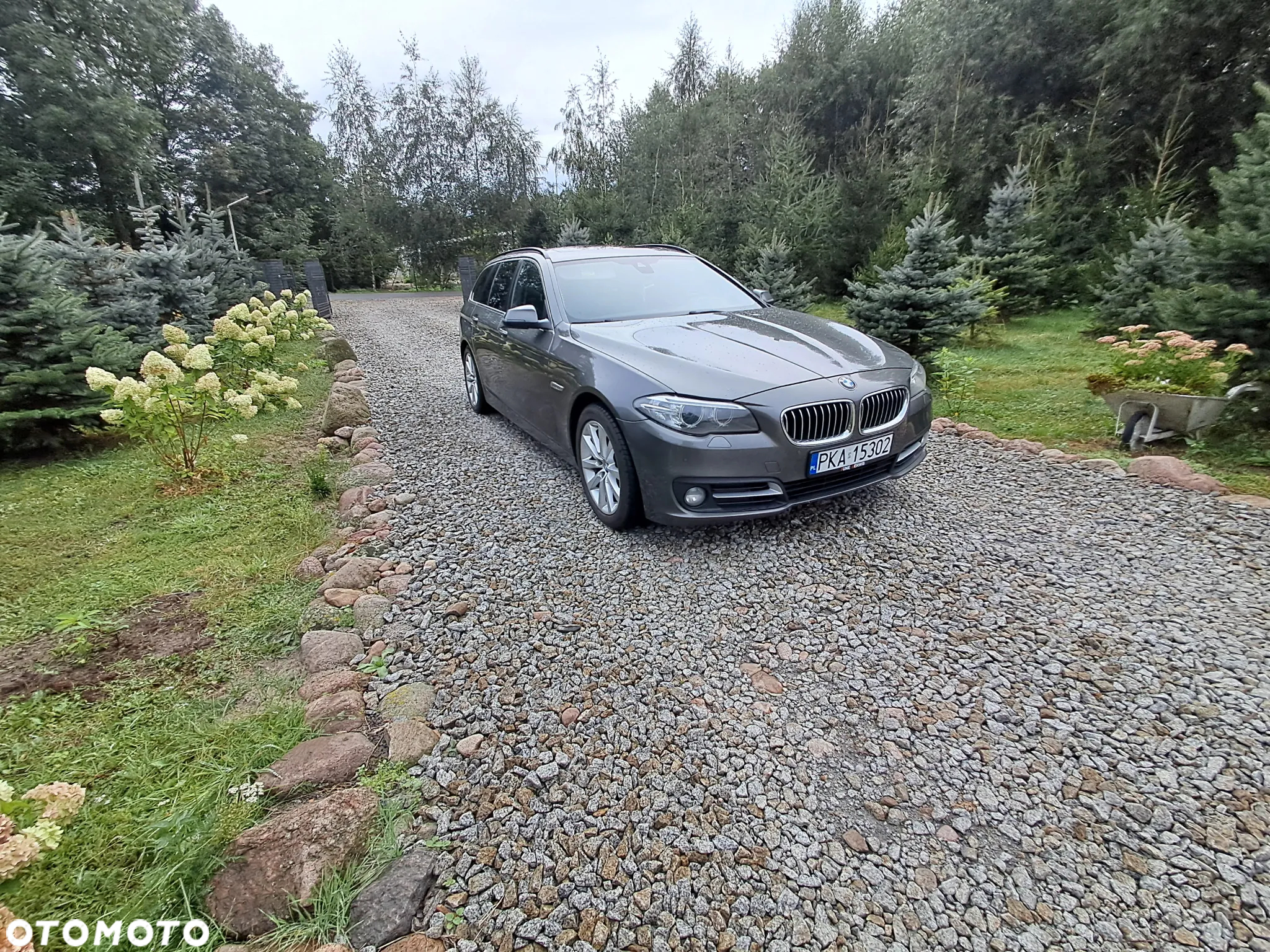 BMW Seria 5 520d xDrive Luxury Line - 2