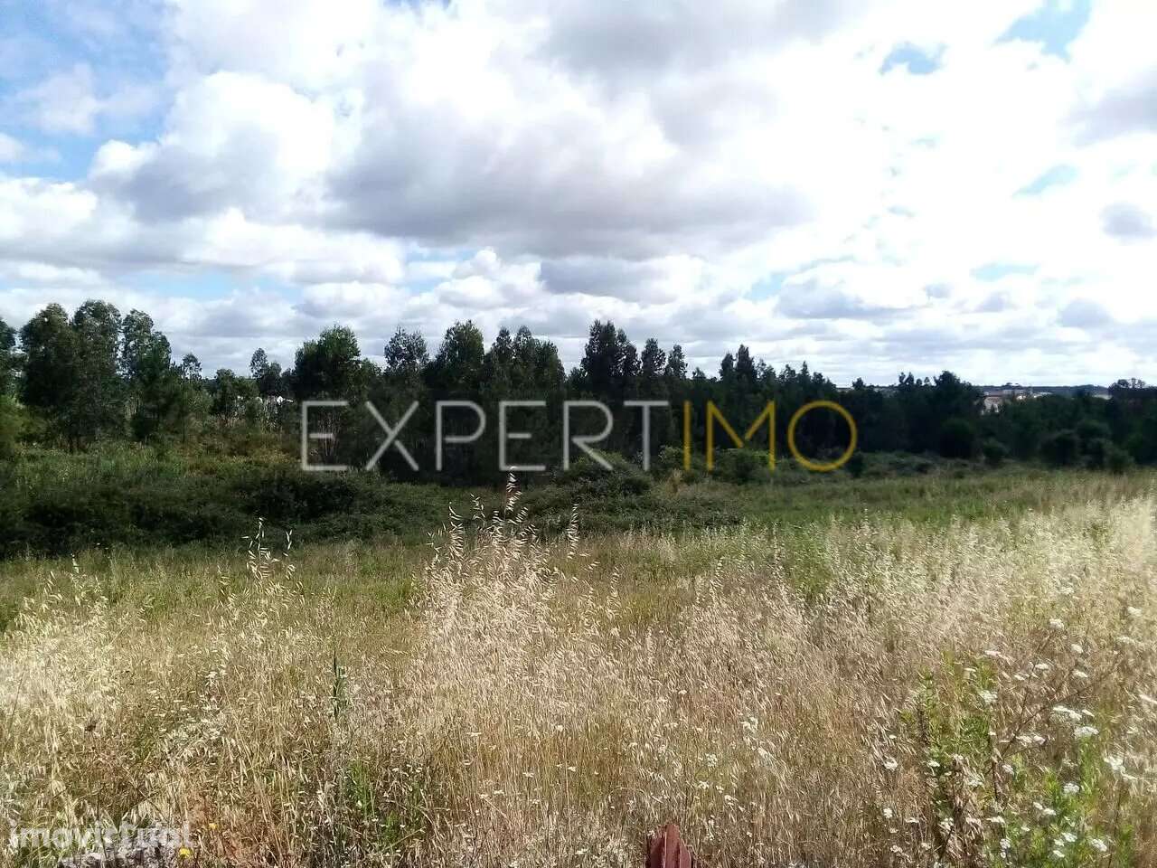 Terreno Manique do Intendente Azambuja com 2,6 hectares - Grande imagem: 5/15