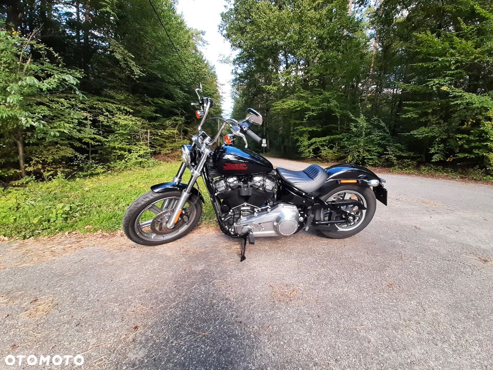 Harley-Davidson Softail Standard - 1