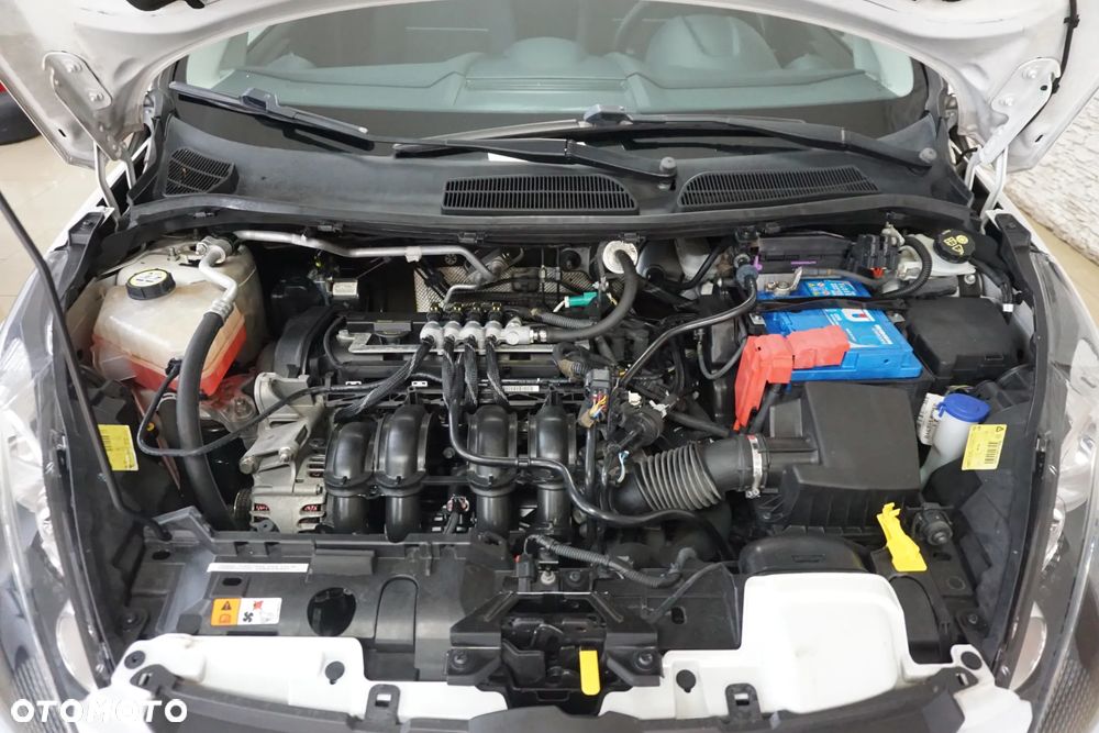 Ford Fiesta 1.4 Silver X (Trend) EU5 - 18