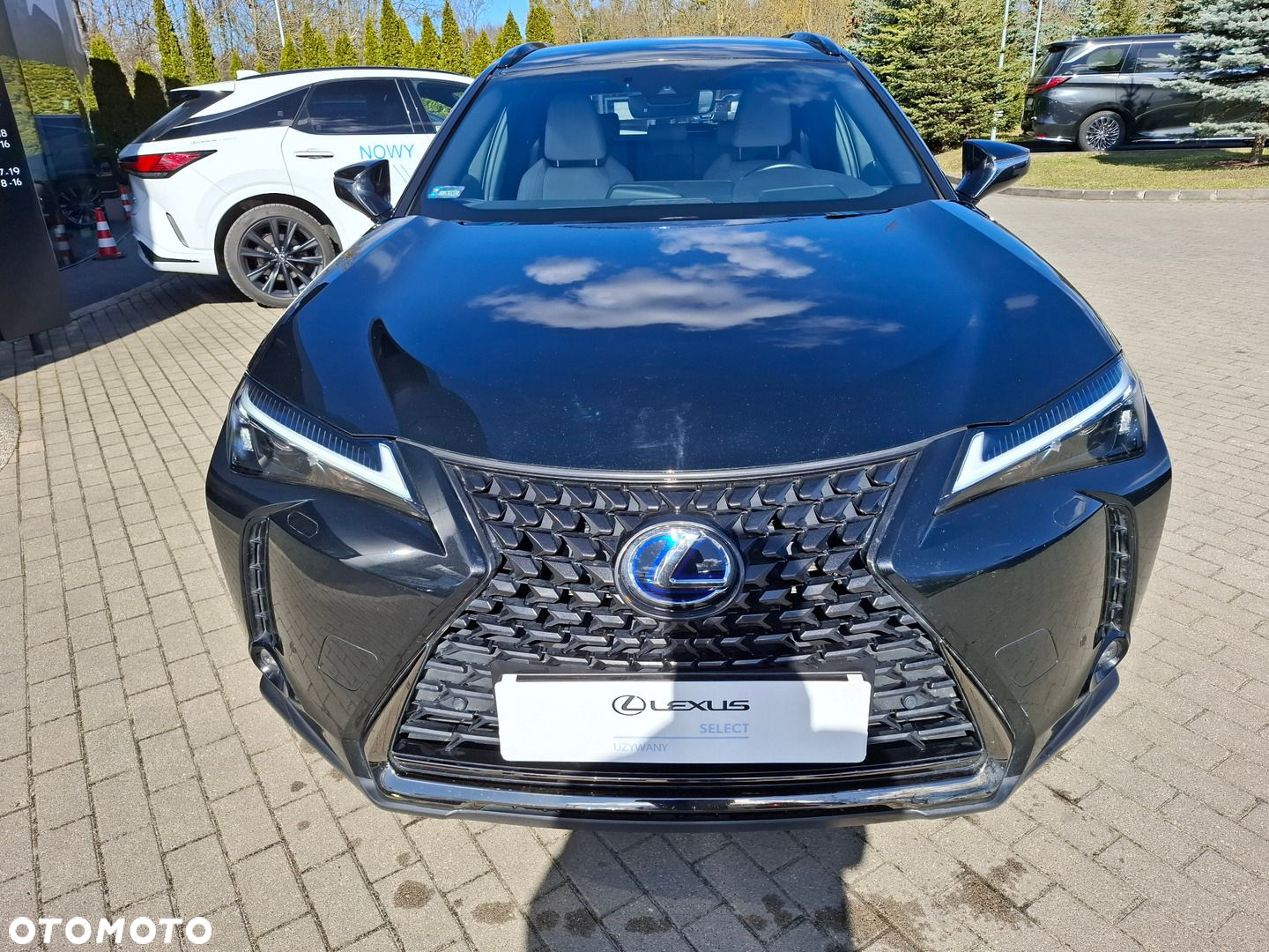 Lexus UX 250h GPF F Impression 2WD - 8