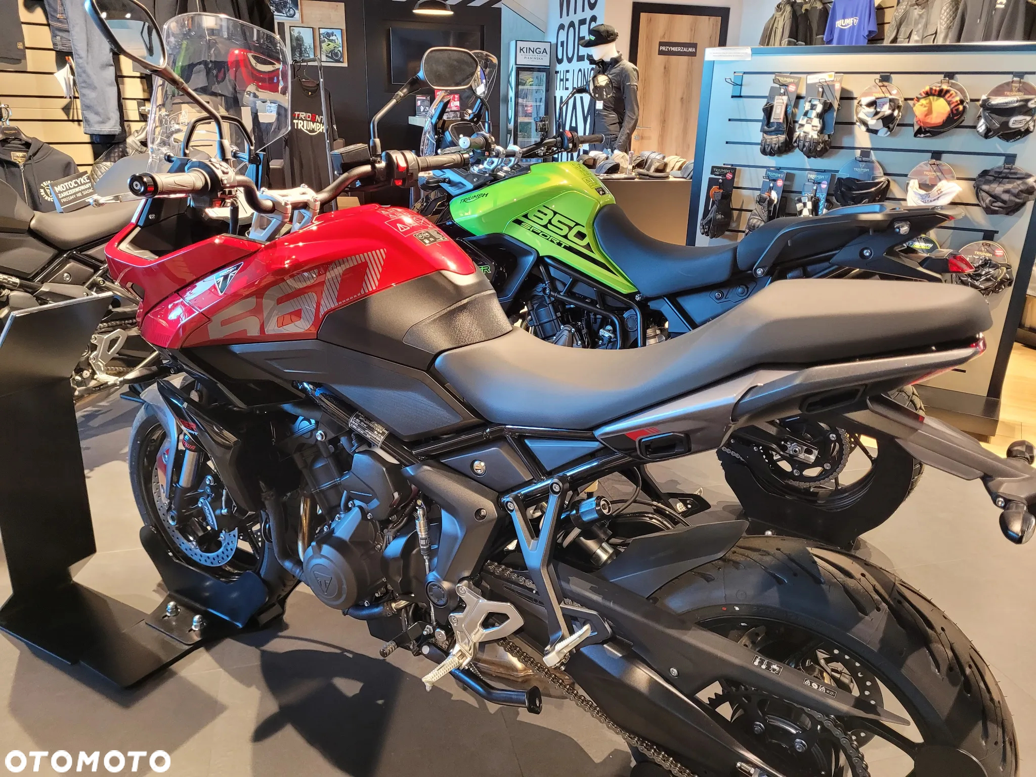 Triumph Tiger - 9
