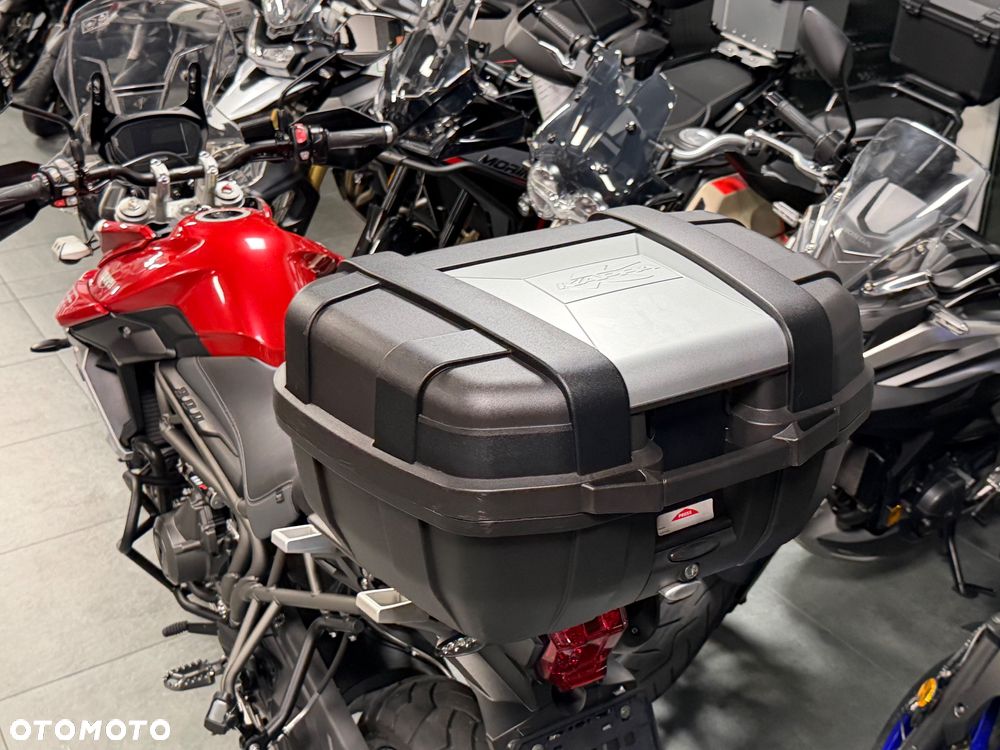 Triumph Tiger - 28