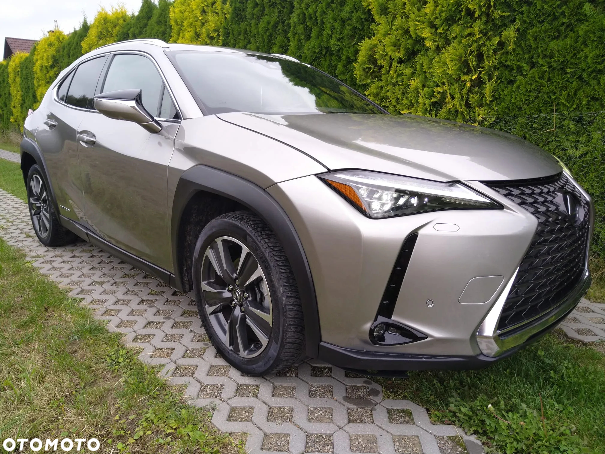 Lexus UX 250h GPF Business Edition AWD - 2